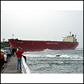 pasha bulker ship in newcastle