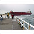 pasha bulker ship beached in newcastle