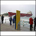 pasha bulker ship in newcastle