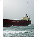 pasha bulker ship in newcastle