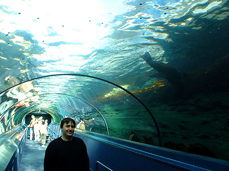 sydney aquarium photo