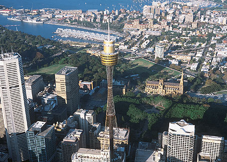 sydney tower photo