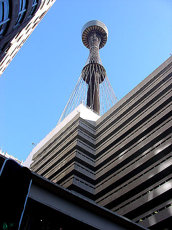 sydney tower photo