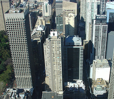 sydney tower photo