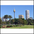 Sydney Centrepoint Tower Photo