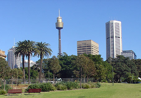 sydney tower photo